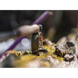 Trout Boss