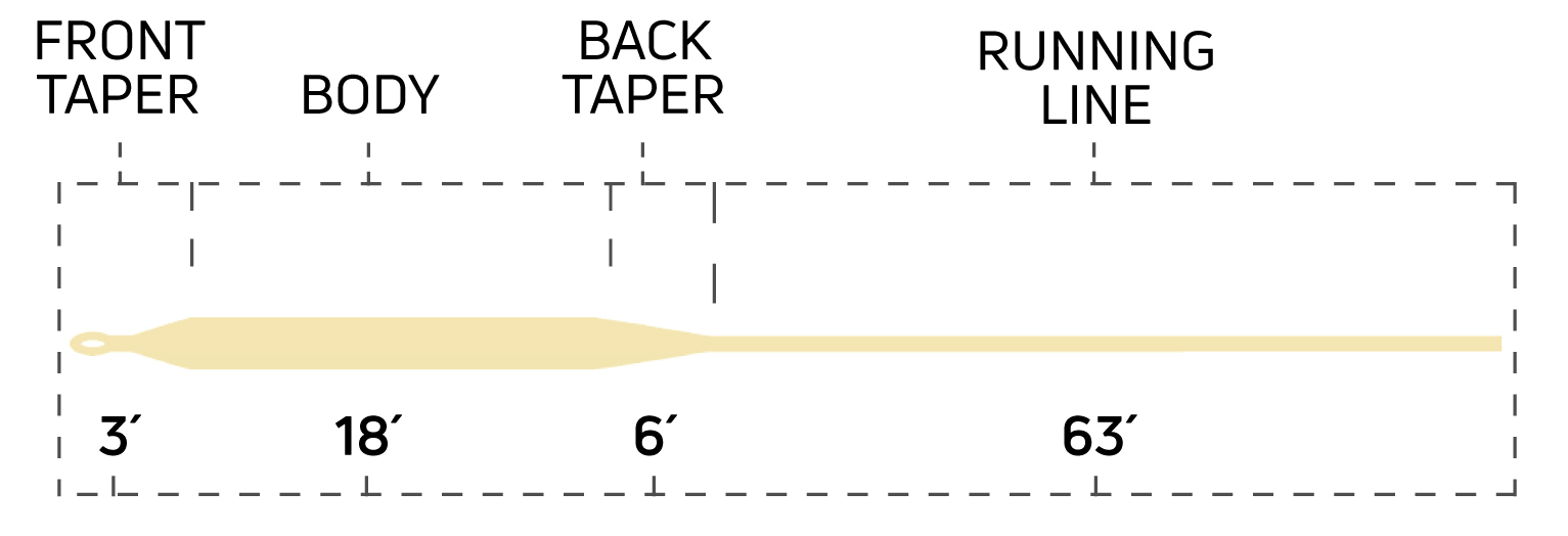 Taper Dorado Float