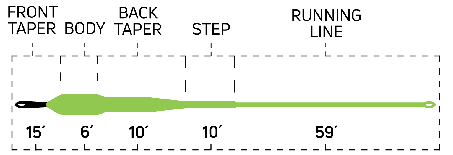 Taper Cortland PRO Dorado Sink Tip